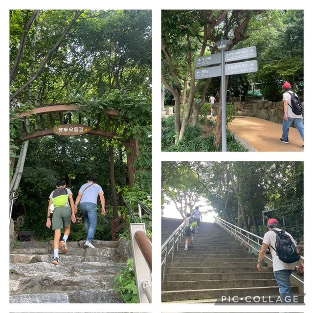 【釜山Day3】釜山鑽石塔/龍頭山公園▻無緣の影島大橋▻樂天