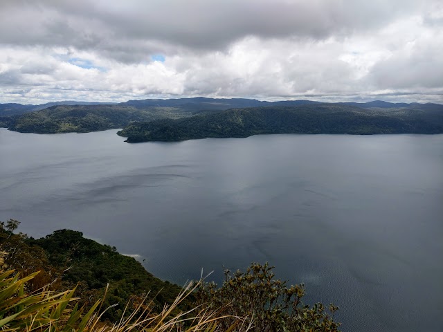 Lake Waikaremoana Great Walk Track Views