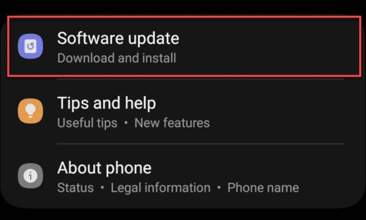 Scroll down and locate the Software update option. Select it from the list.