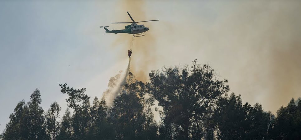 Calheta in brand: bewezen brandstichting