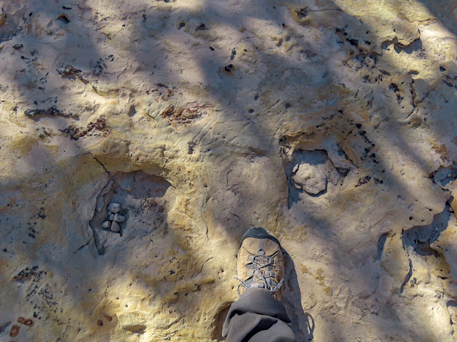 Maybe dinosaur tracks?