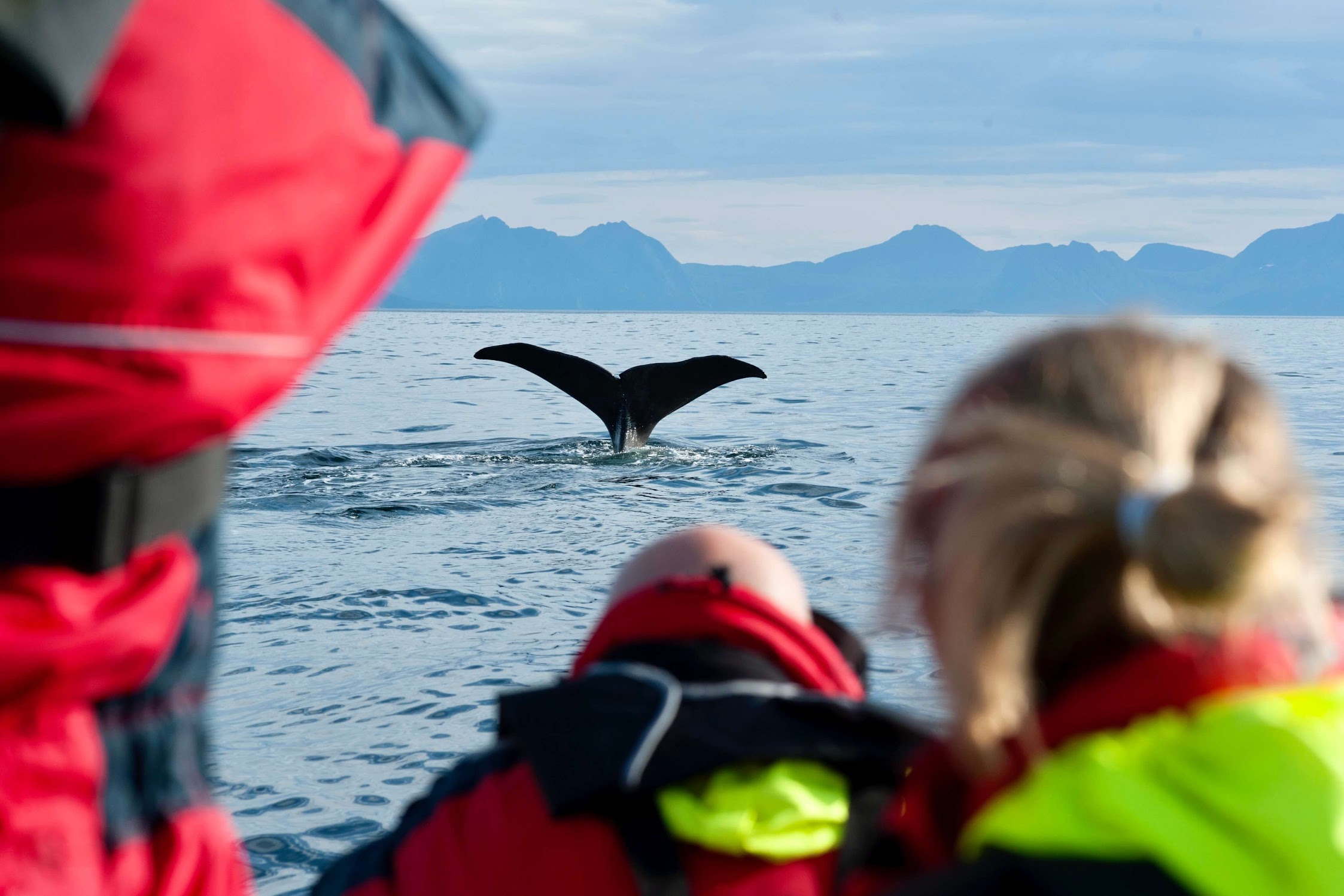 Wat is er te doen in Tromsø?