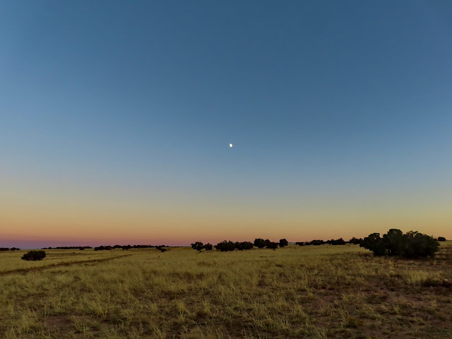 Belt of Venus