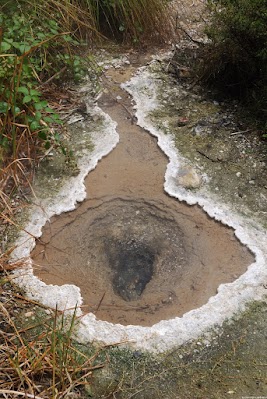 Mrdermuschel Quelle: mit silikatreichem, kochendem Wasser.