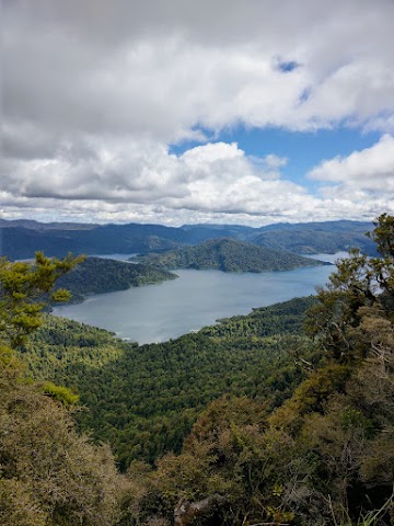 Panekire Hut Lake Waikaremoana Views