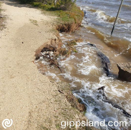 Minister for Environment Steve Dimopoulos must prioritise the erosion issue at Lake Victoria's foreshore in Loch Sport and address the need for long-term solutions after years of reports and temporary fixes