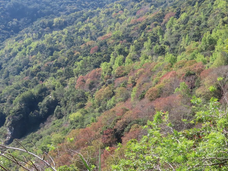 2023_八通關越道路 之 瓦拉米山屋~山風登山口**