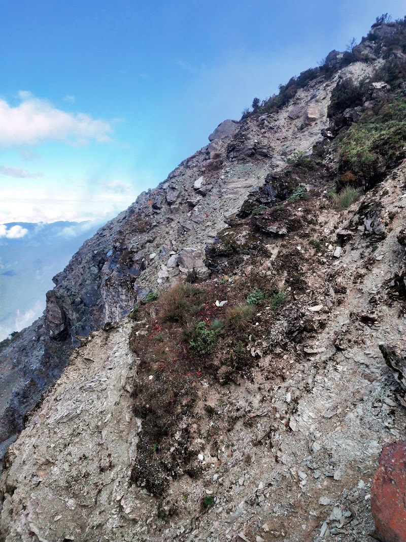 2020_南一段_ DAY4  雲水池營地~三叉峰下營地**