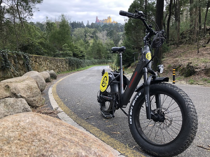 As melhores ebikes de carga e utilitárias para comprar