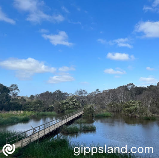 Durt'Yowan (Latrobe River) The Life Source free event is organised by the WGCMA to be held at West Gippsland Arts Centre - Lyrebird Room on 1 November 2023