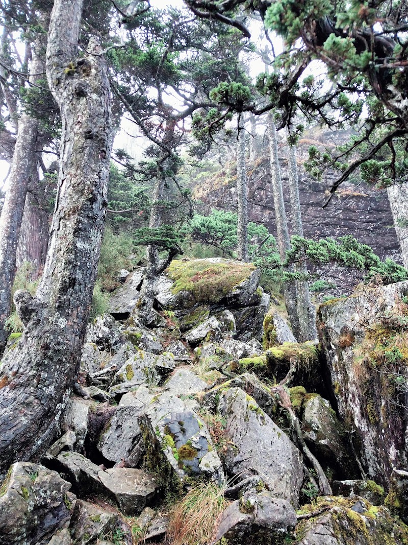 2020_南一段_DAY2 庫哈諾辛山屋~三千營地 ▲關山*