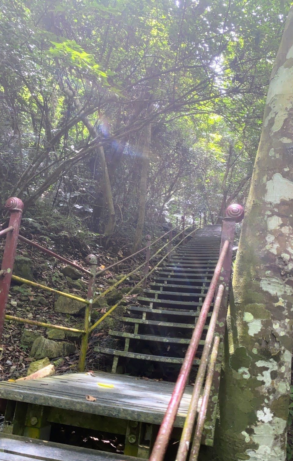 環保阿嬤女兒唐玉書巡迴/得卡倫步道趣