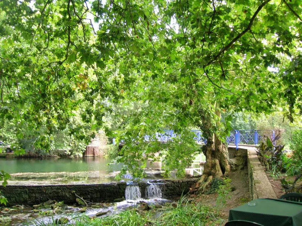 Marais Poitevin: A Veneza verde da França