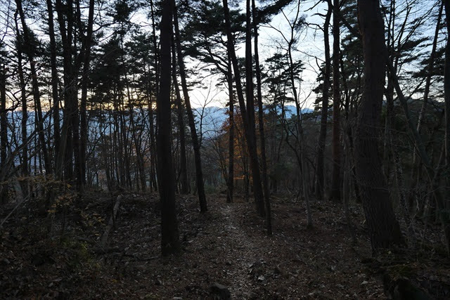 要害山城跡