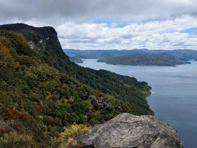 Lake Waikaremoana Great Walk Track Views