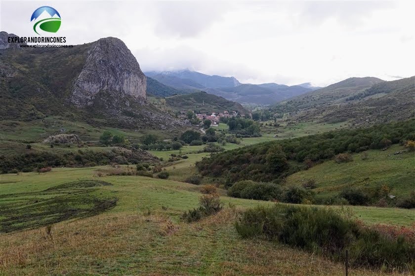 MARAÑA en Mampodre León