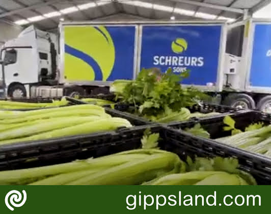 Schreurs holds rights to pump 1,700 megalitres annually from the Tarwin River, cultivating leeks, spinach, rocket, and peas, emphasising environmental responsibility and addressing climate change