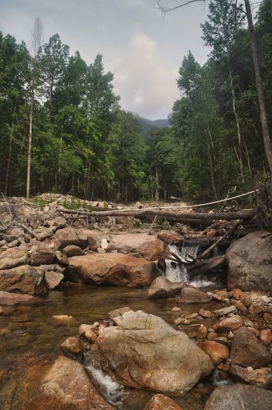 celaque national park trekking