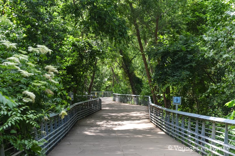 Austin - Ann and Roy Run and Bike Trail