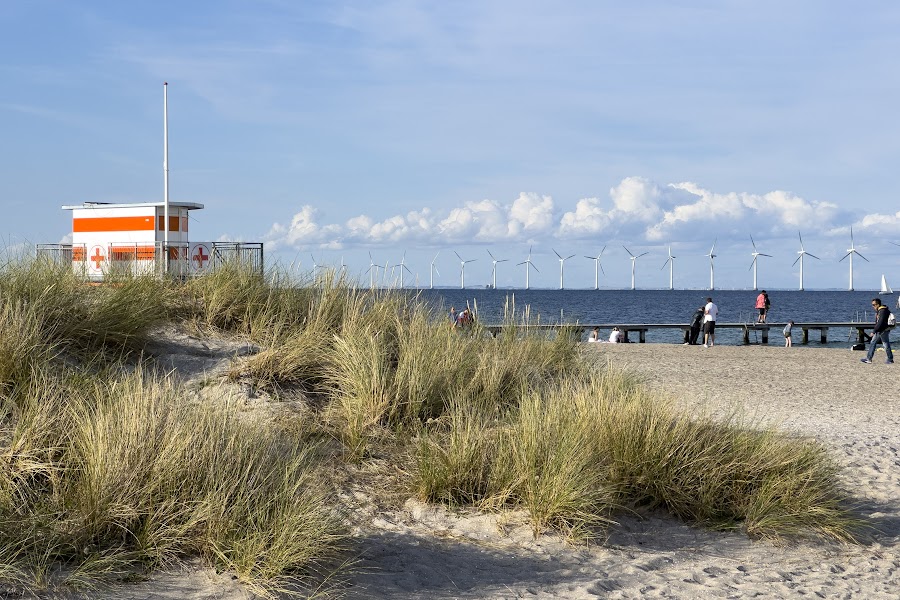 Kopenhaga, plaża Amager Stranpark