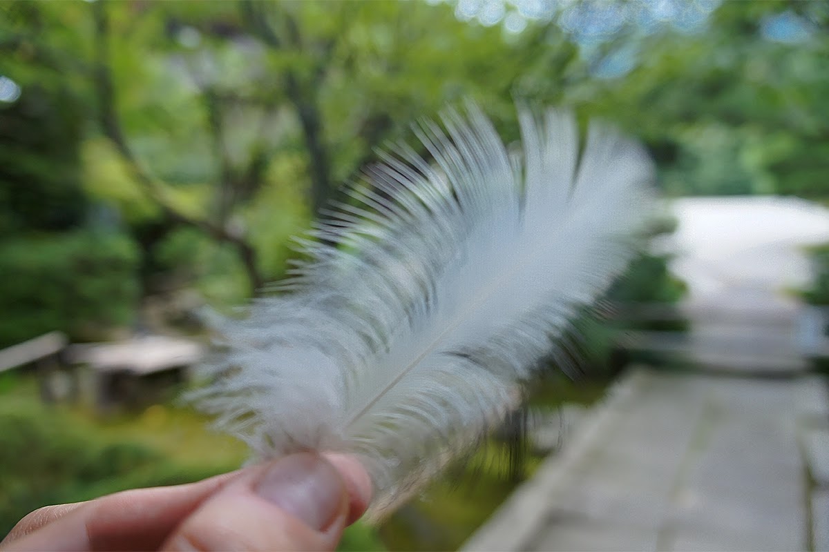 Kyoto, Japonia