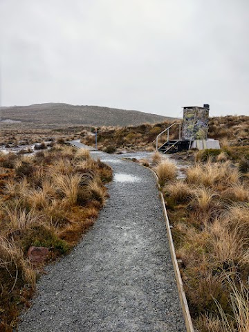 Tama Lakes Track