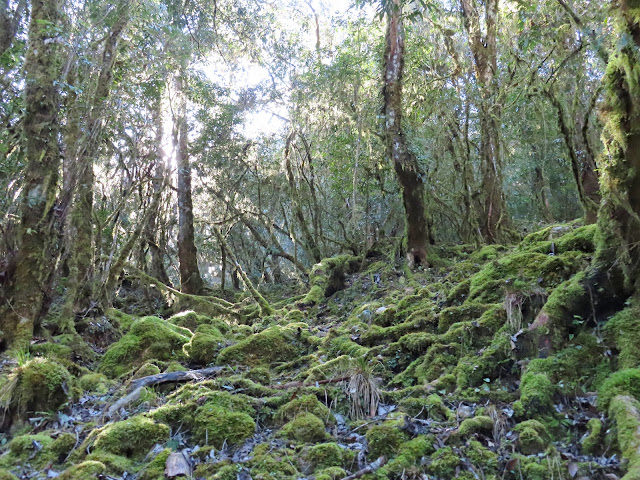 2023_八通關越道路 之 抱崖山屋~瓦拉米山屋