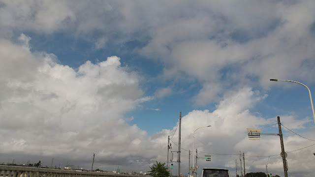 雨は苦手です