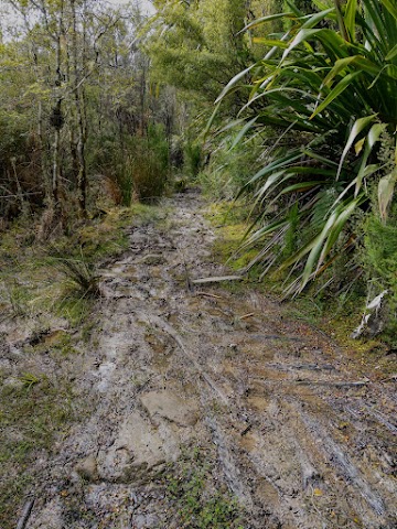 Lake Waikaremoana Track muddy