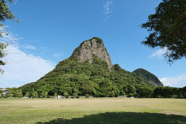 鹿児島県のソテツ自生地