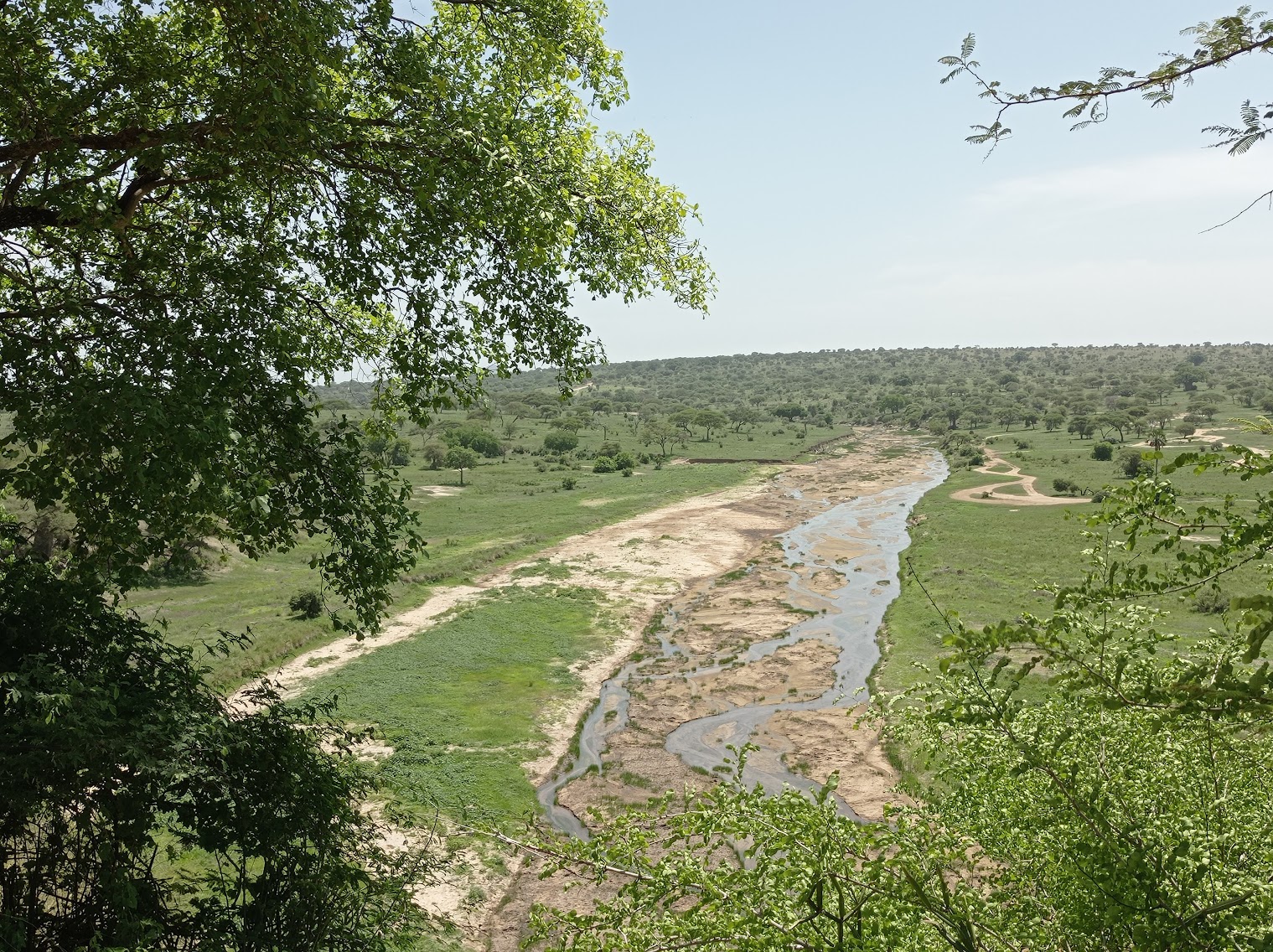 tanzanie