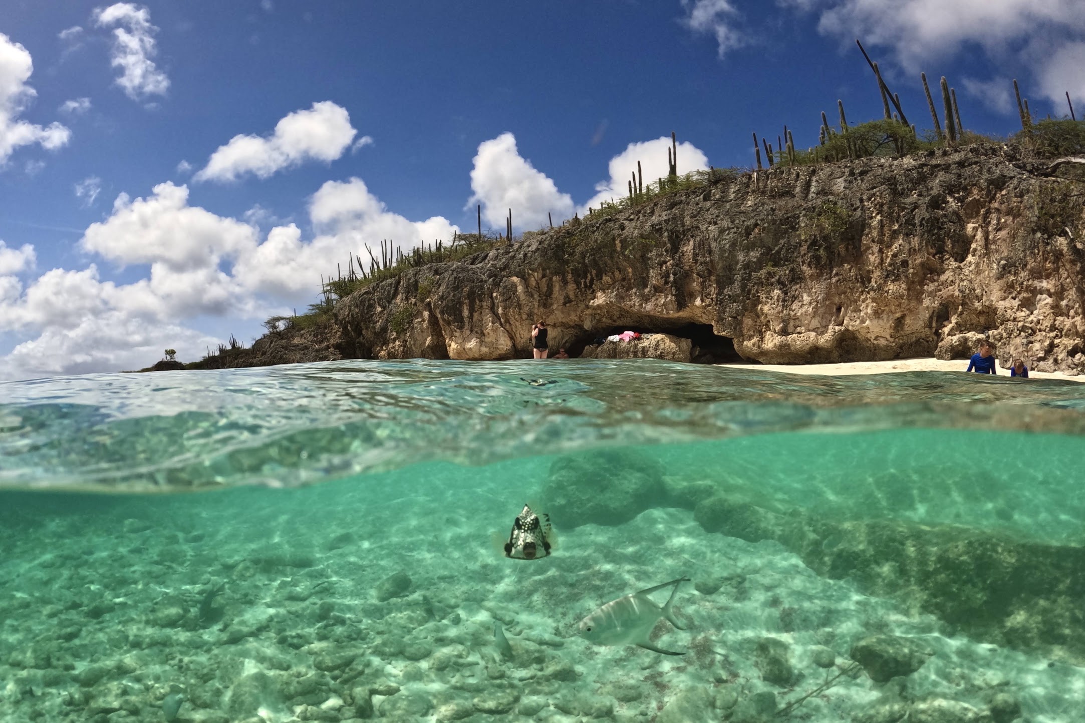 duiken-bonaire