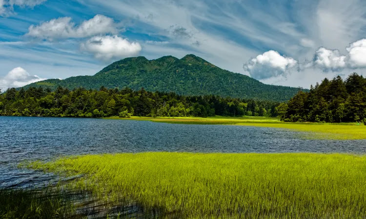 บึงโอเซะนุมะ (Ozenuma Pond) กับวิวเขาฮิอุจิกาทาเคะ (Mt. Hiuchigatake)