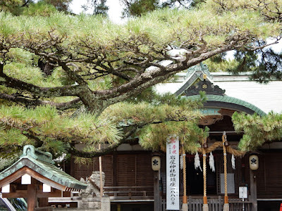 岩屋神社月見の松