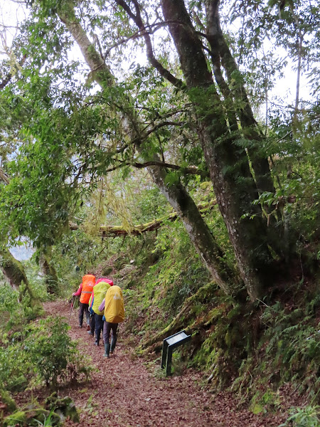 2023_八通關越道路 之 大分山屋~抱崖山屋