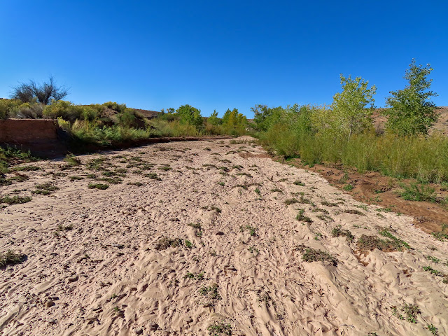 North Fork of Iron Wash