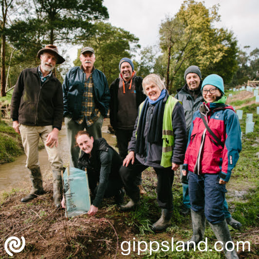 The projects encompass habitat restoration, erosion control, and community engagement activities, benefiting West Gippsland Landcare groups with over $365,000 in funding