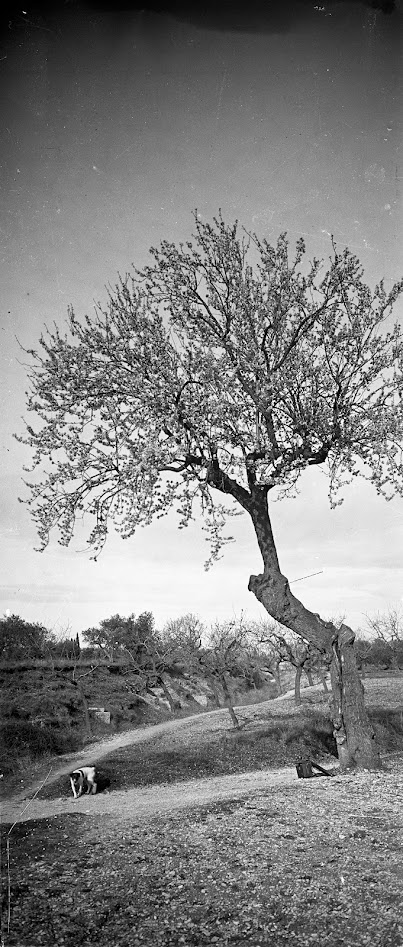 Photo des Soeurs SICARD : PHOTO-STEREO-009