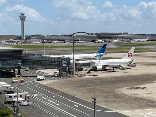 クンクンしてもらって「Good Boy!」とほめてあげたい。【成田空港の麻薬探知犬】