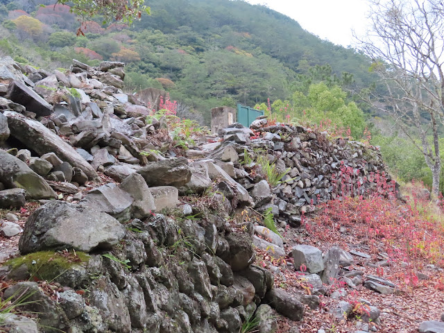 2023_八通關越道路 之 塔達芬營地~大分山屋