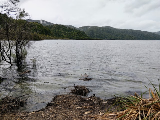 Waiopaoa Hut and Campsite Lake Waikaremoana