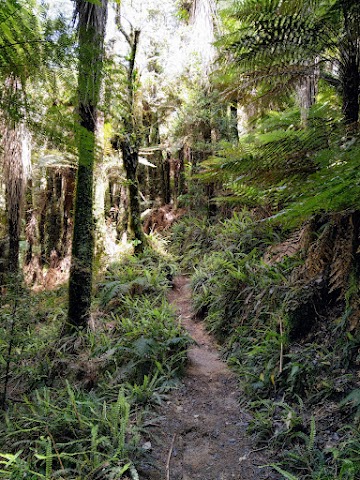 Lake Waikaremoana Track