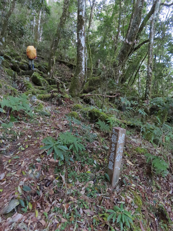 2023_八通關越道路 之 大分山屋~抱崖山屋