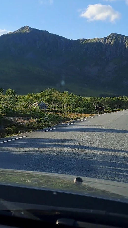 По волнам памяти (Nordkapp, острова Senja, Vesteralen и Lofoten в августе 2023)