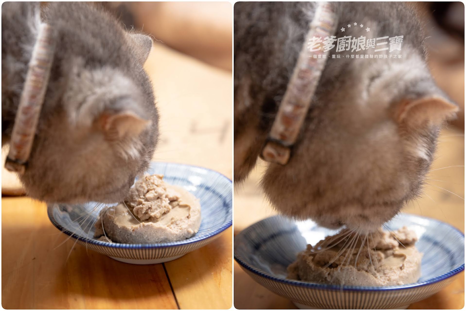 喵樂肉食控系列...肉泥質地好消化，低碳水低脂肪，給你98%鮮肉含量還能吃罐補水的好吃肉罐罐