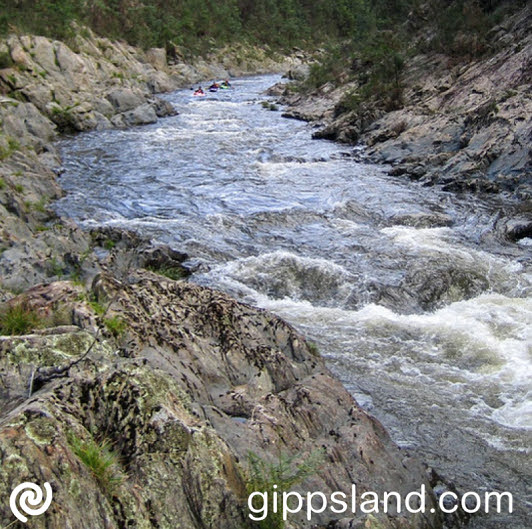 Environmental water flow on the Carran Carran - Thomson River