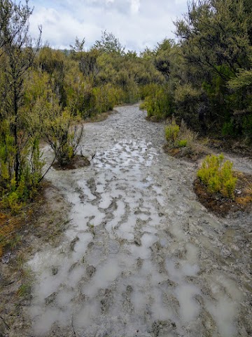 Lake Waikaremoana Track muddy