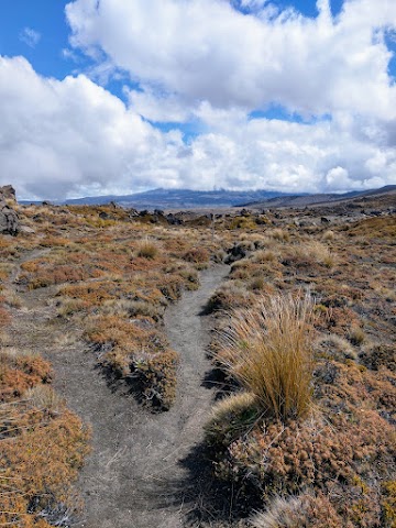 Tongariro Northern Circuit great walk track