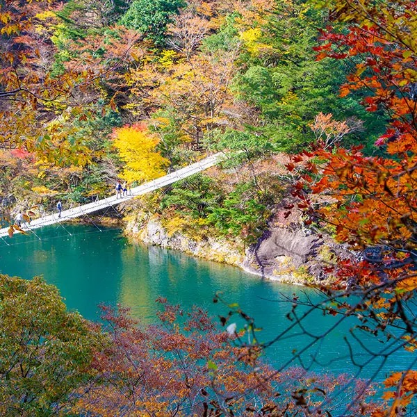 สะพานทอดข้ามเหนือทะเลสาบเขื่อนโอมะ (Oma Dam Lake)