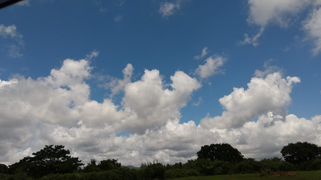 湖西メモリアルヒルズに行ってきました